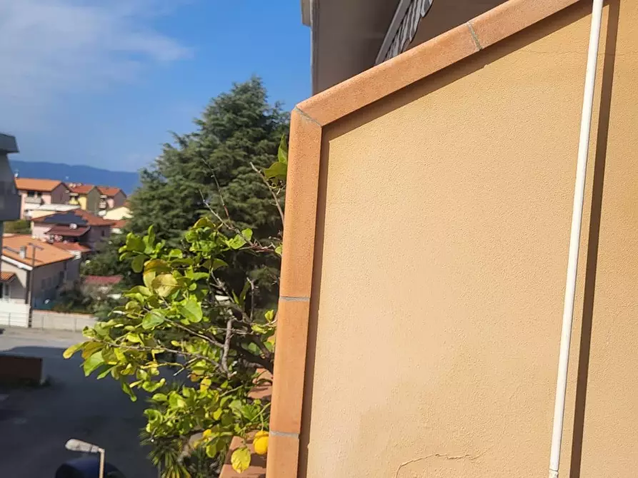 Immagine 29 di Appartamento in vendita  a Carrara