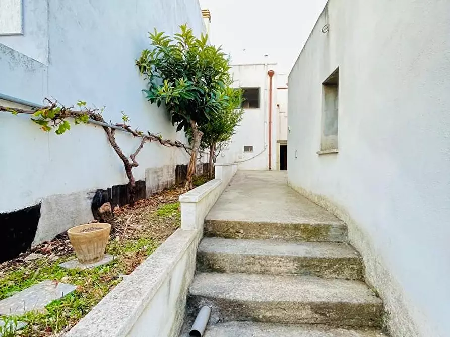 Immagine 23 di Appartamento in vendita  a Alessano