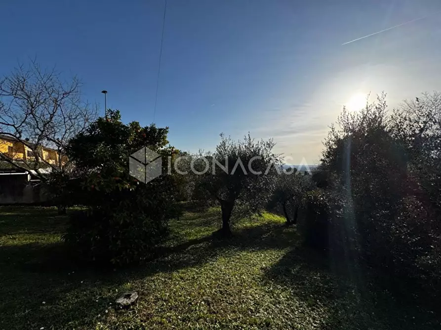 Immagine 4 di Appartamento in vendita  a Santa Maria A Monte