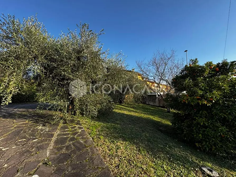 Immagine 3 di Appartamento in vendita  a Santa Maria A Monte