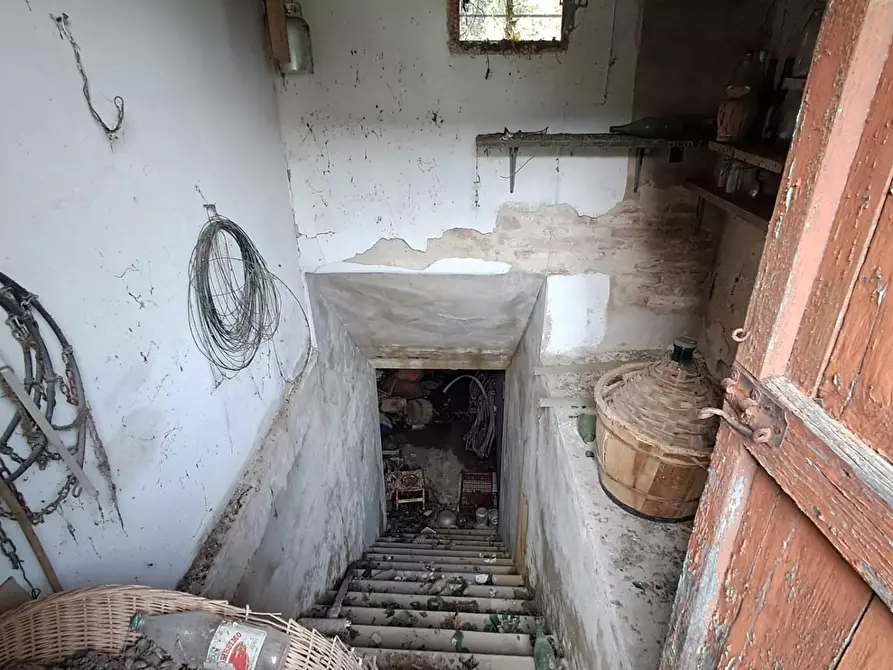 Immagine 32 di Villa in vendita  a Buti