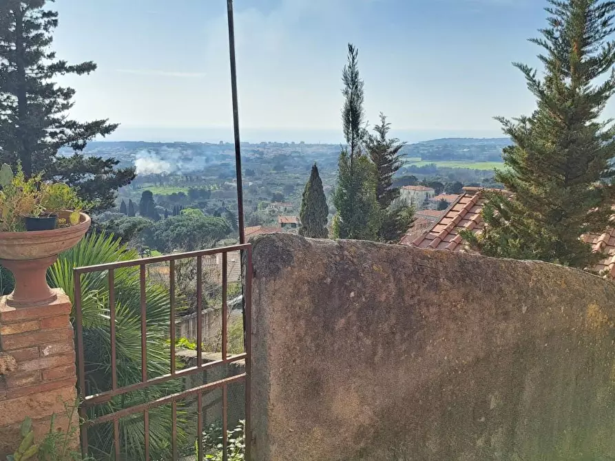 Immagine 14 di Terreno residenziale in vendita  a Rosignano Marittimo