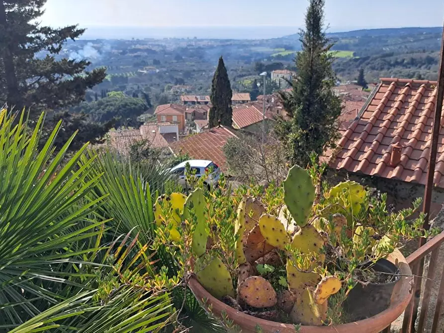 Immagine 5 di Terreno residenziale in vendita  a Rosignano Marittimo