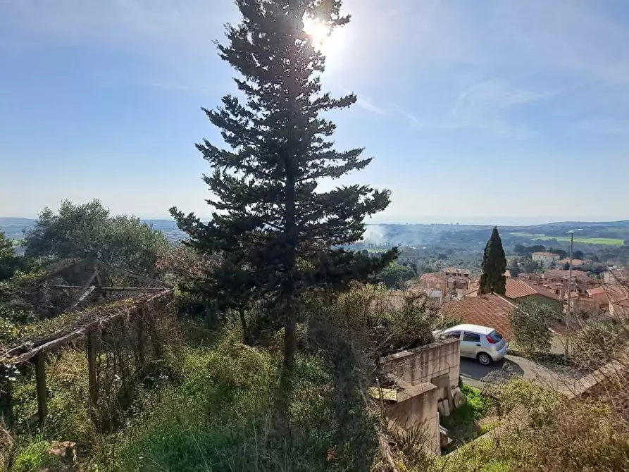 Immagine 4 di Terreno residenziale in vendita  a Rosignano Marittimo