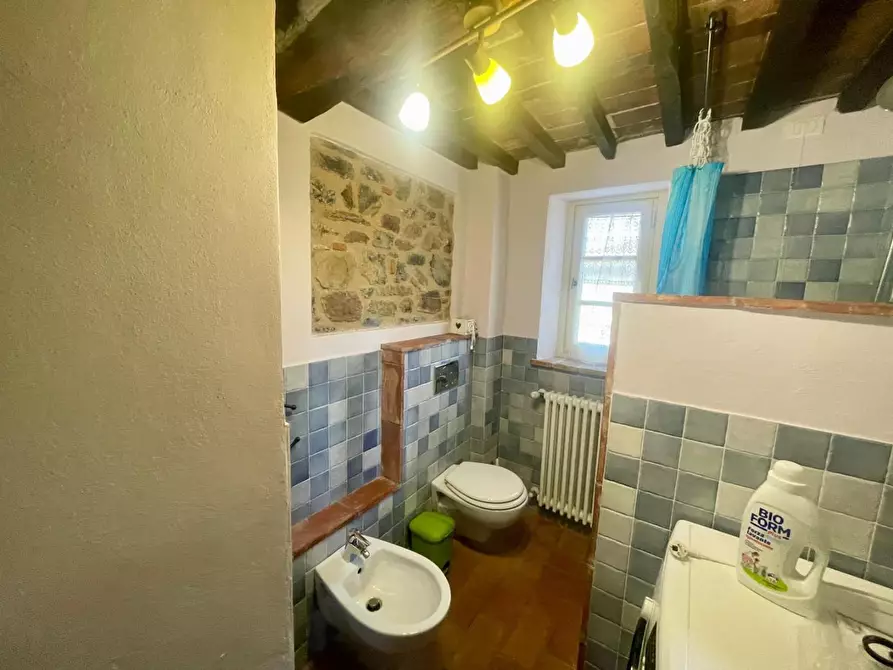 Immagine 27 di Terratetto in vendita  a Lucca