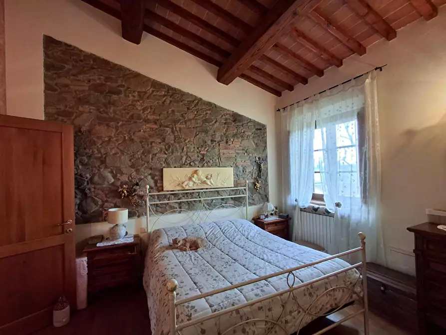 Immagine 27 di Casa colonica in vendita  a Vinci