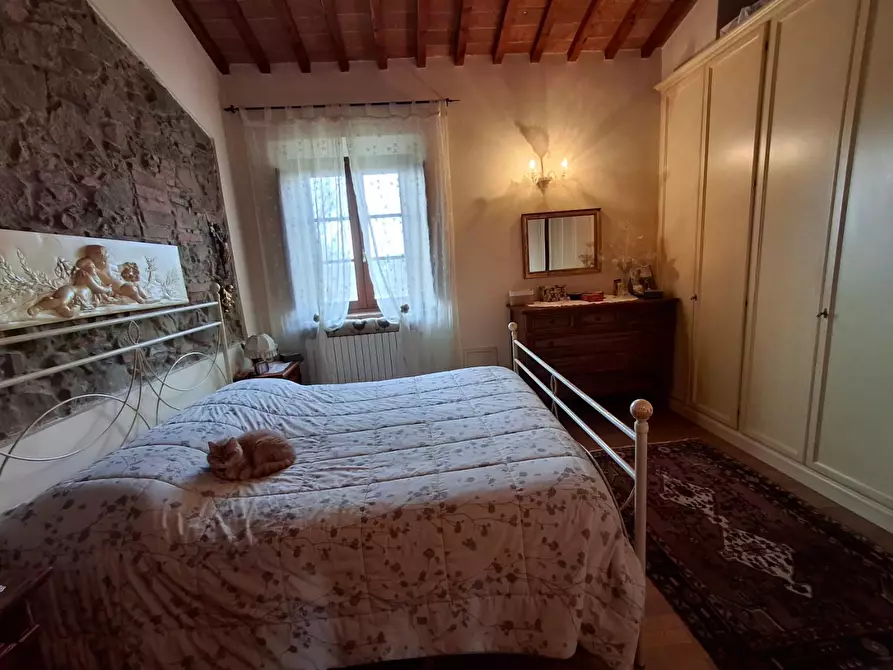 Immagine 25 di Casa colonica in vendita  a Vinci