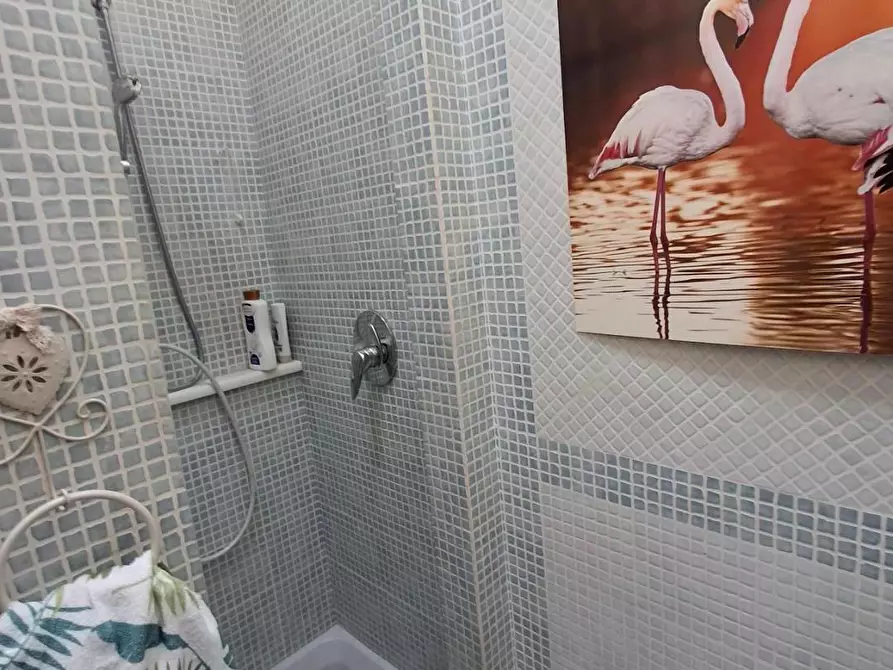 Immagine 24 di Casa colonica in vendita  a Vinci