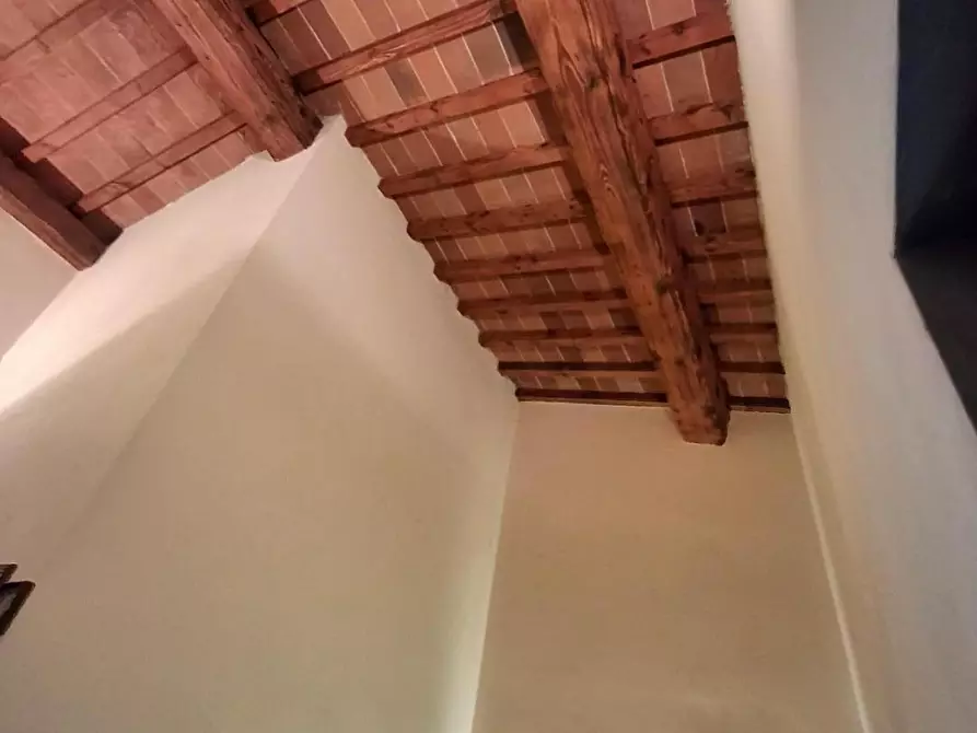 Immagine 15 di Casa colonica in vendita  a Vinci