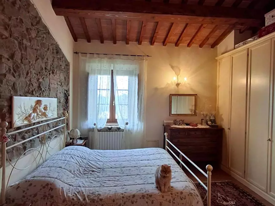 Immagine 29 di Casa colonica in vendita  a Vinci