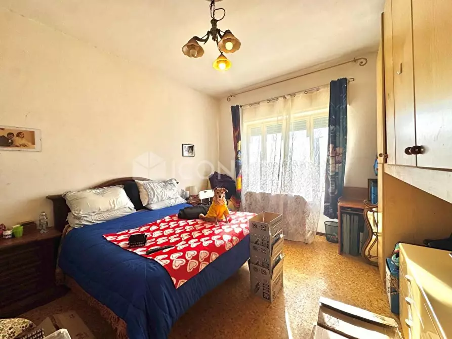 Immagine 4 di Appartamento in vendita  a Calcinaia