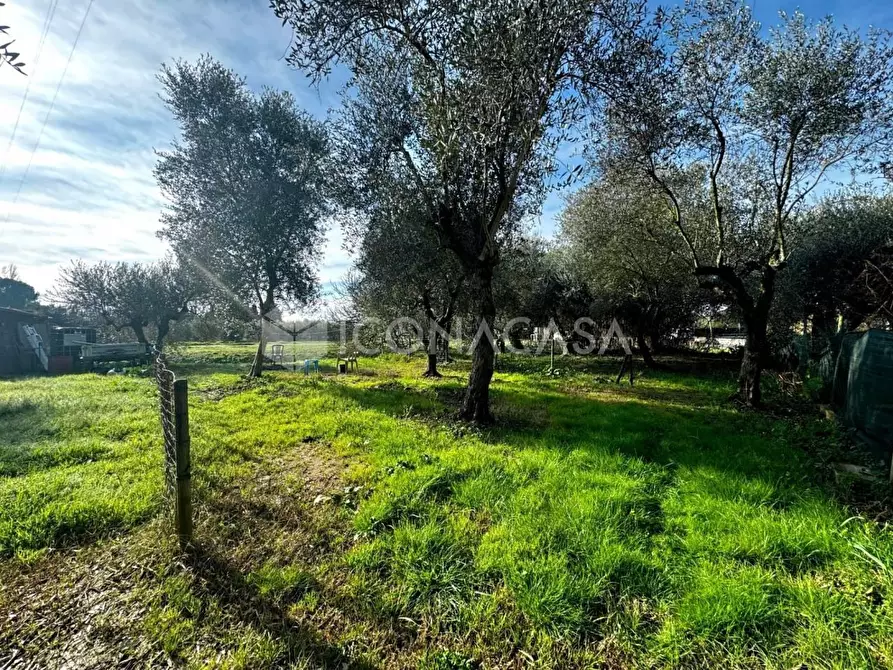 Immagine 9 di Appartamento in vendita  a Calcinaia