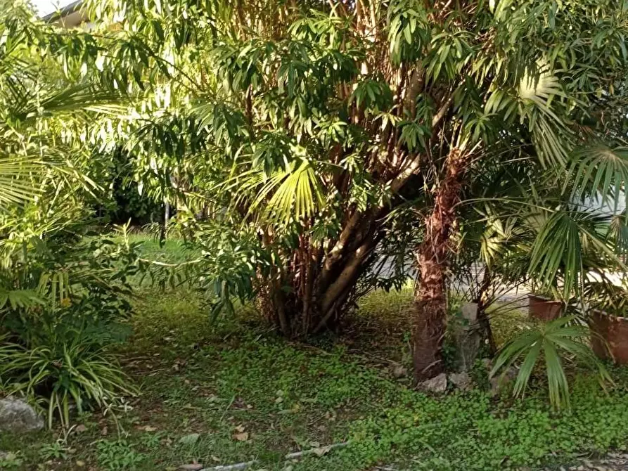 Immagine 13 di Appartamento in vendita  a Pietrasanta