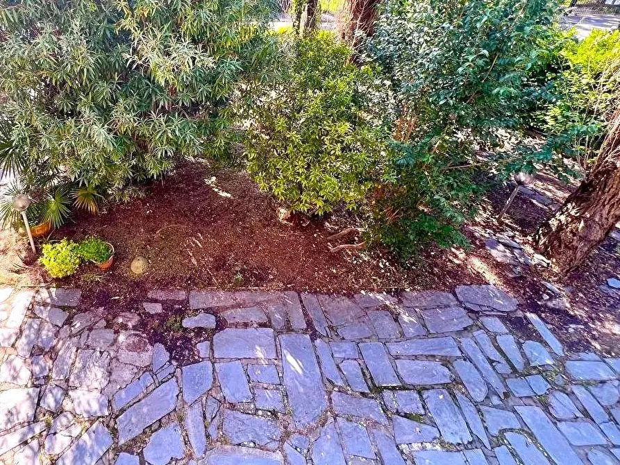 Immagine 14 di Appartamento in vendita  a Pietrasanta