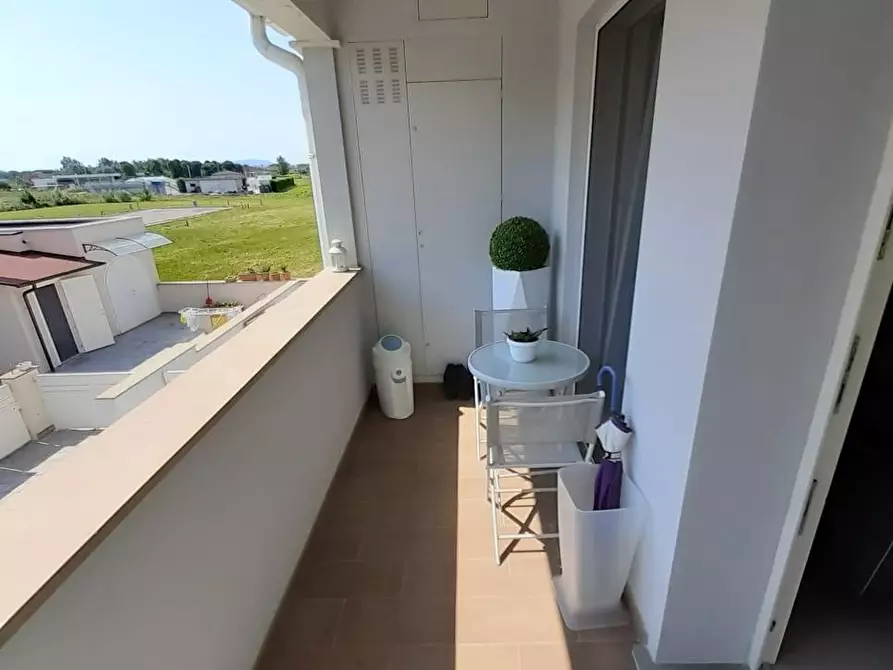 Immagine 5 di Appartamento in vendita  a Pontedera