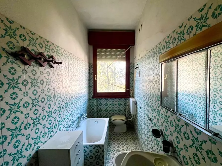 Immagine 6 di Appartamento in vendita  a Pietrasanta