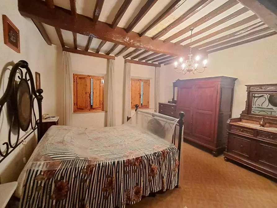 Immagine 20 di Casa indipendente in vendita  a Palaia