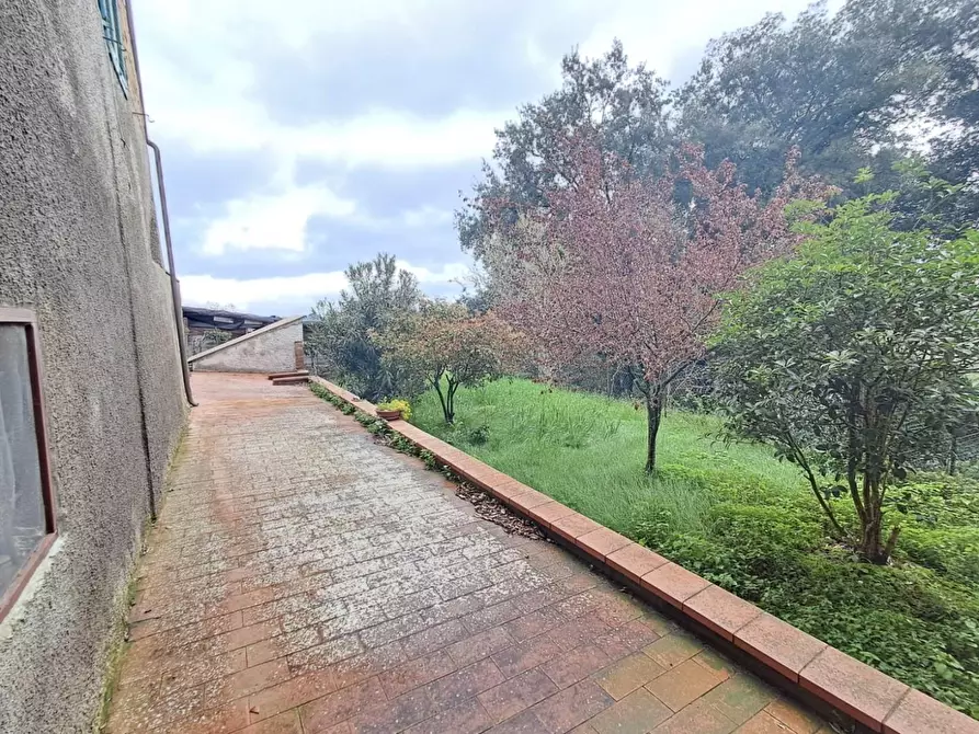 Immagine 33 di Casa indipendente in vendita  a Palaia