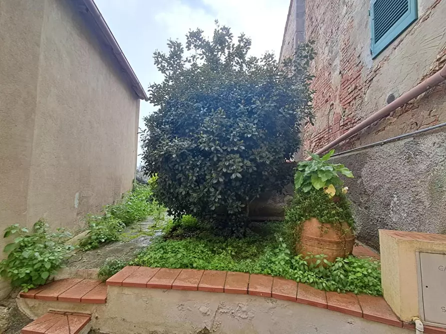 Immagine 37 di Casa indipendente in vendita  a Palaia