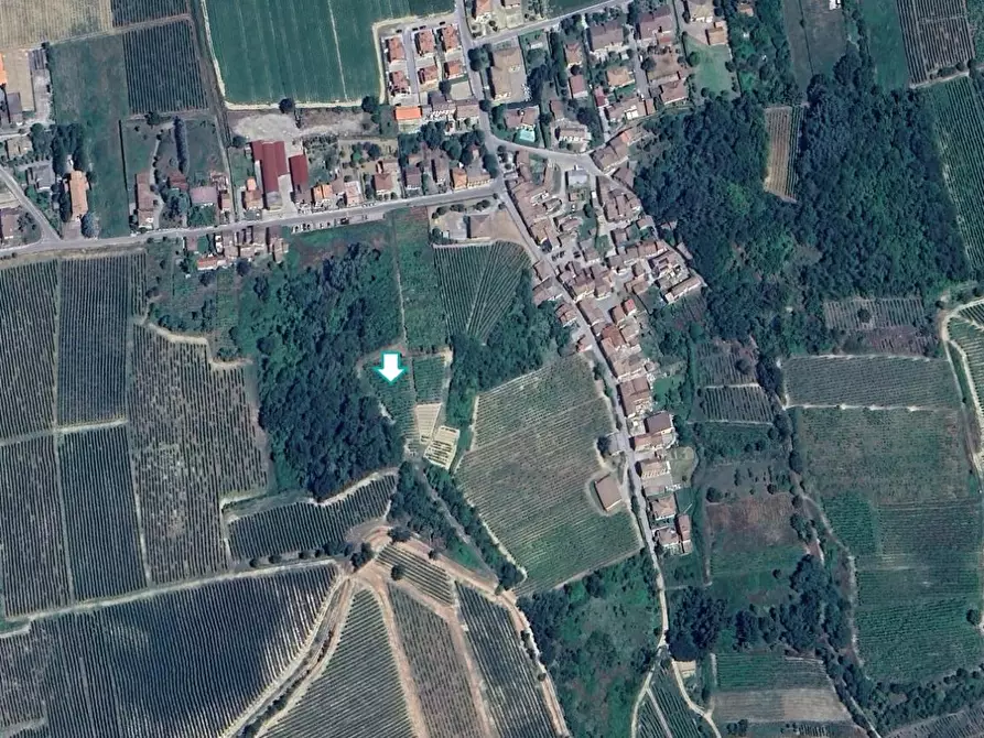 Immagine 1 di Terreno agricolo in vendita  a Cigognola