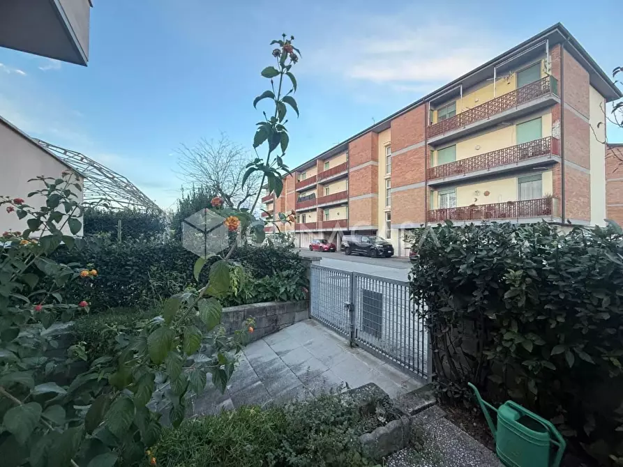 Immagine 20 di Appartamento in vendita  a Pontedera