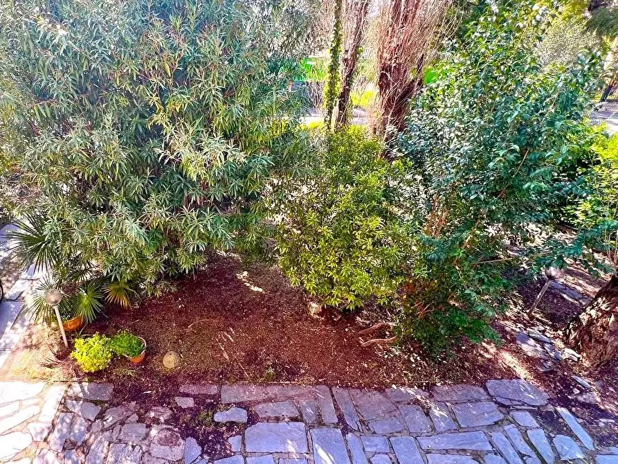 Immagine 3 di Villa in vendita  a Pietrasanta