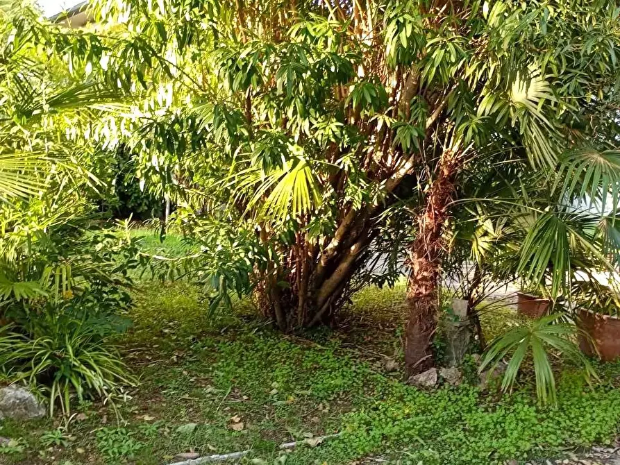 Immagine 6 di Villa in vendita  a Pietrasanta