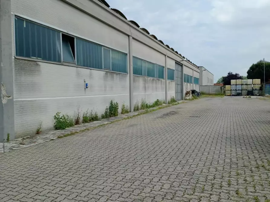 Immagine 1 di Attività artigianale in vendita  a Cura Carpignano