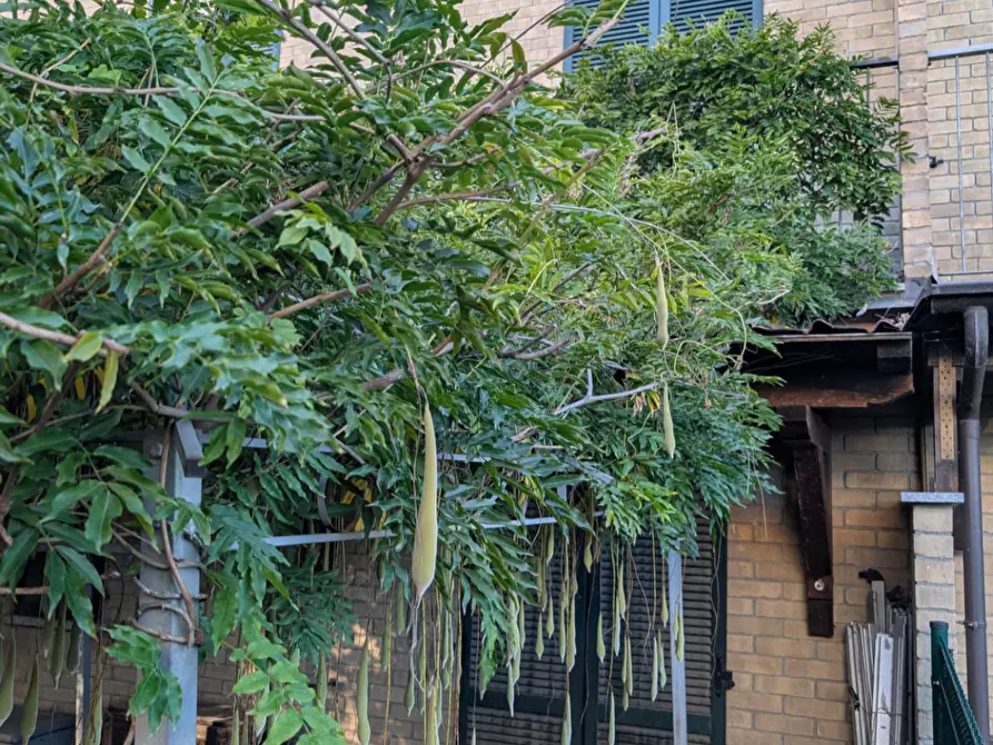 Immagine 18 di Appartamento in vendita  a Voghera