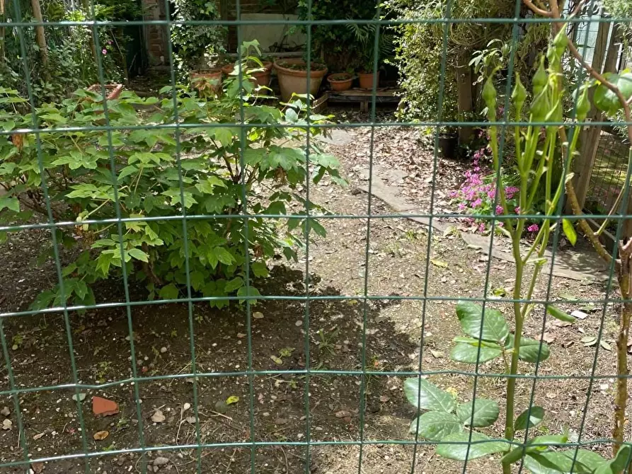 Immagine 29 di Appartamento in vendita  a Empoli