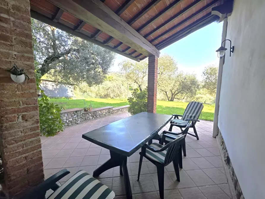 Immagine 14 di Terratetto in vendita  a Lamporecchio