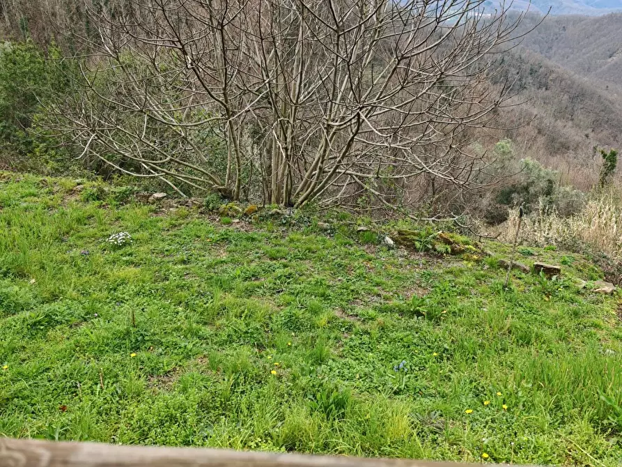 Immagine 2 di Appartamento in vendita  a Fosdinovo