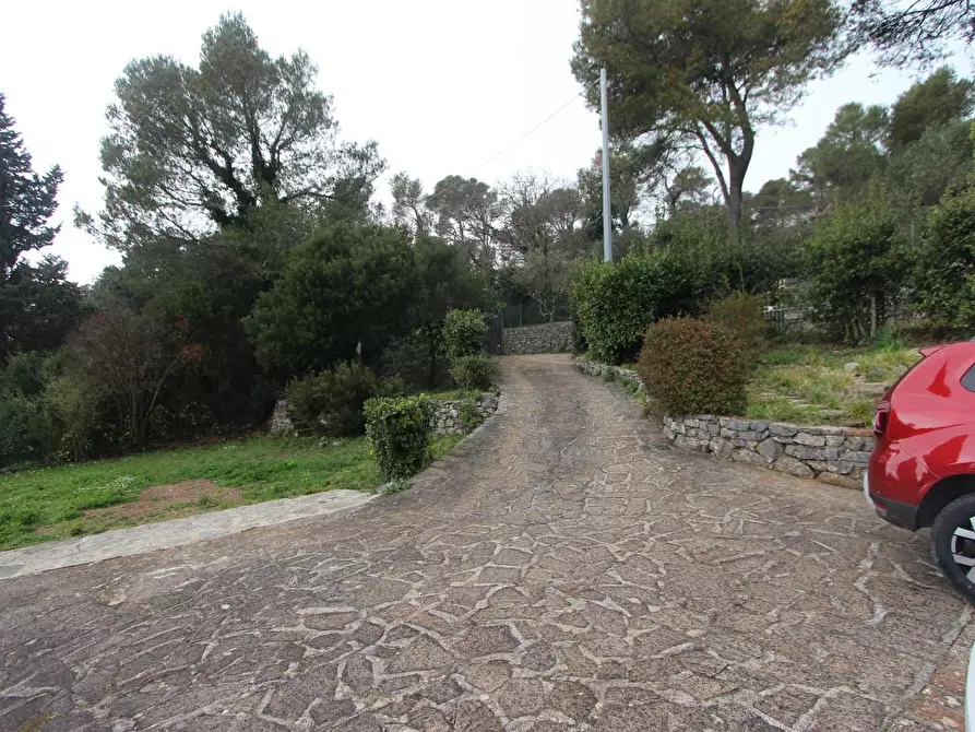 Immagine 6 di Casa indipendente in vendita  a Lerici