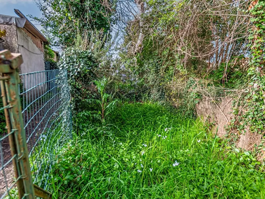 Immagine 18 di Villa in vendita  a Pisa