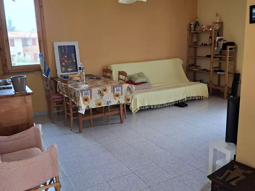 Immagine 4 di Appartamento in vendita  a Castagneto Carducci