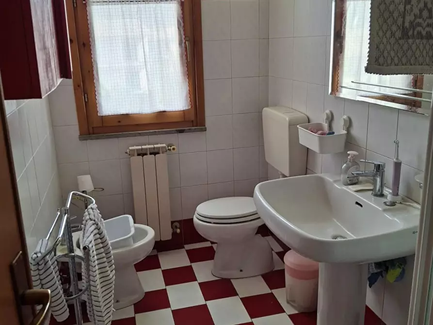 Immagine 13 di Appartamento in vendita  a Castagneto Carducci