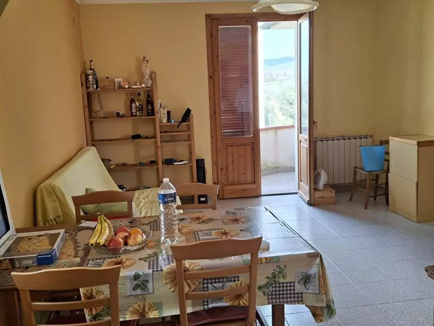 Immagine 3 di Appartamento in vendita  a Castagneto Carducci