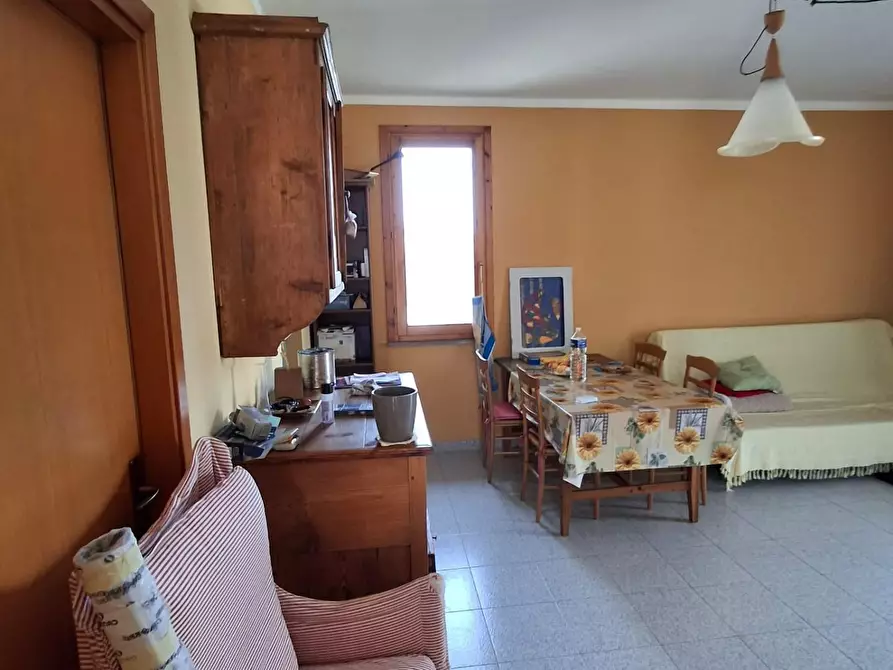 Immagine 6 di Appartamento in vendita  a Castagneto Carducci