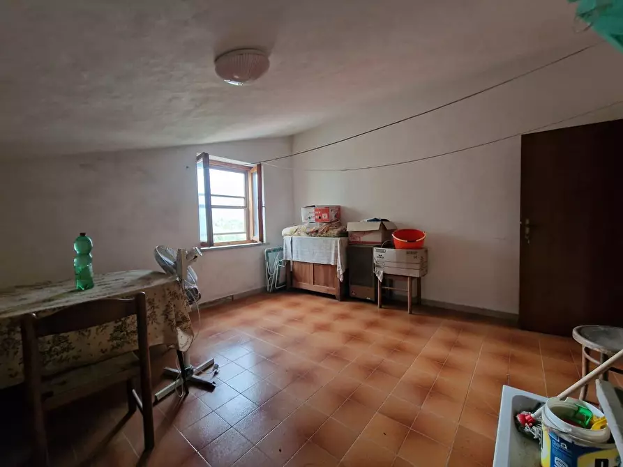 Immagine 19 di Appartamento in vendita  a Terricciola