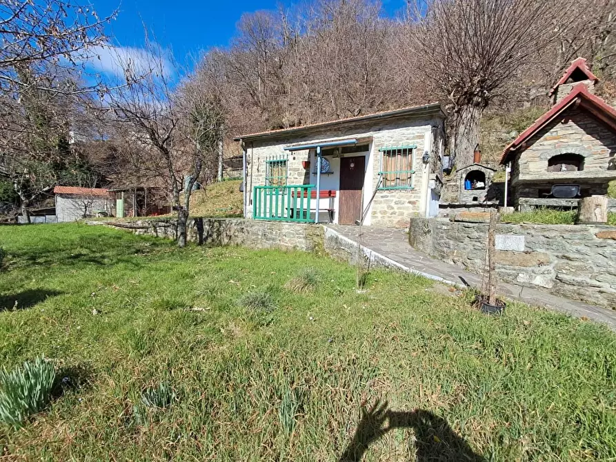 Immagine 57 di Terratetto in vendita  a Fivizzano