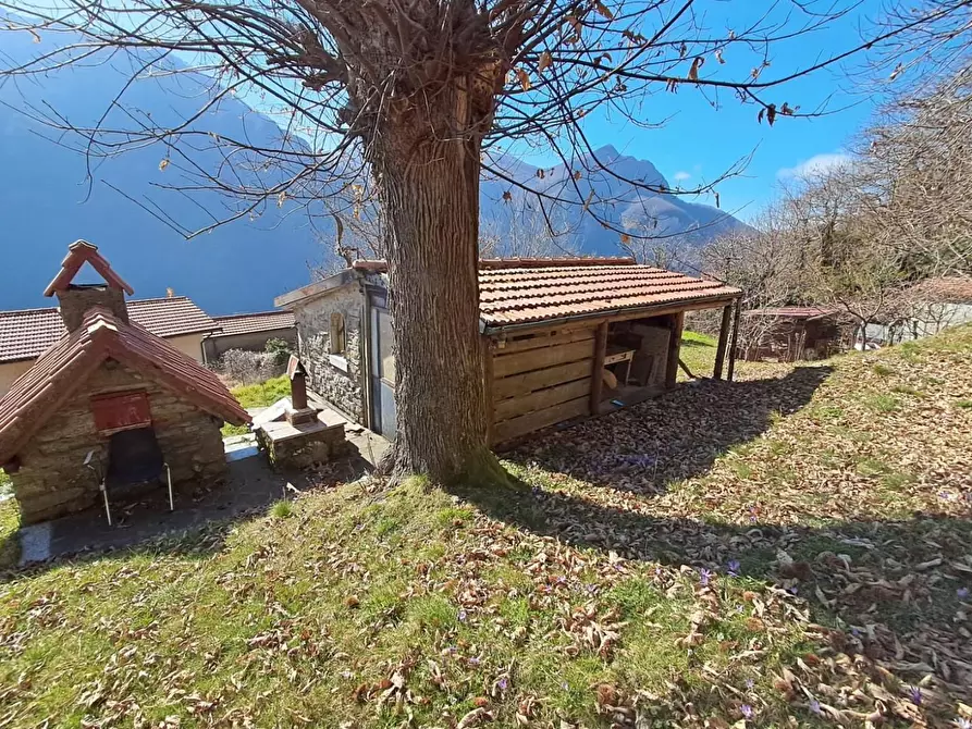 Immagine 58 di Terratetto in vendita  a Fivizzano