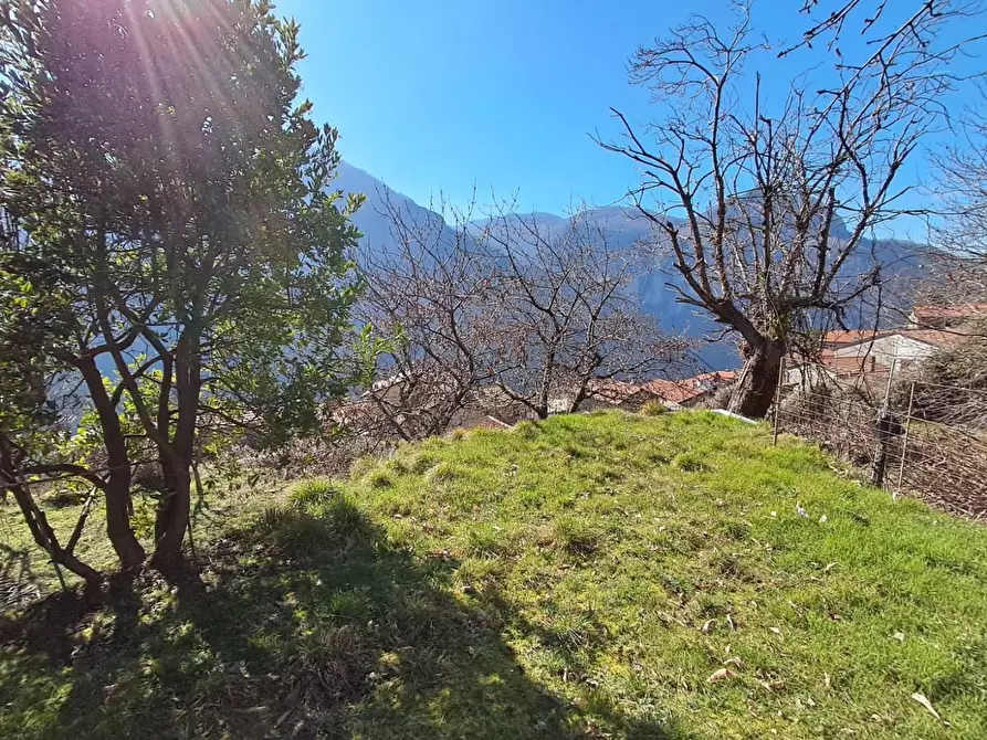 Immagine 62 di Terratetto in vendita  a Fivizzano