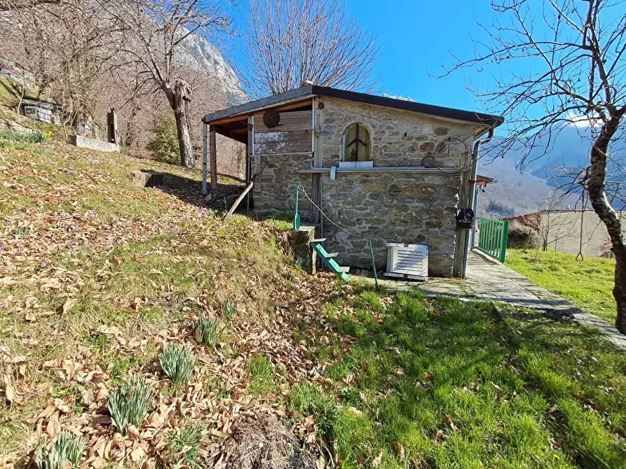 Immagine 46 di Terratetto in vendita  a Fivizzano