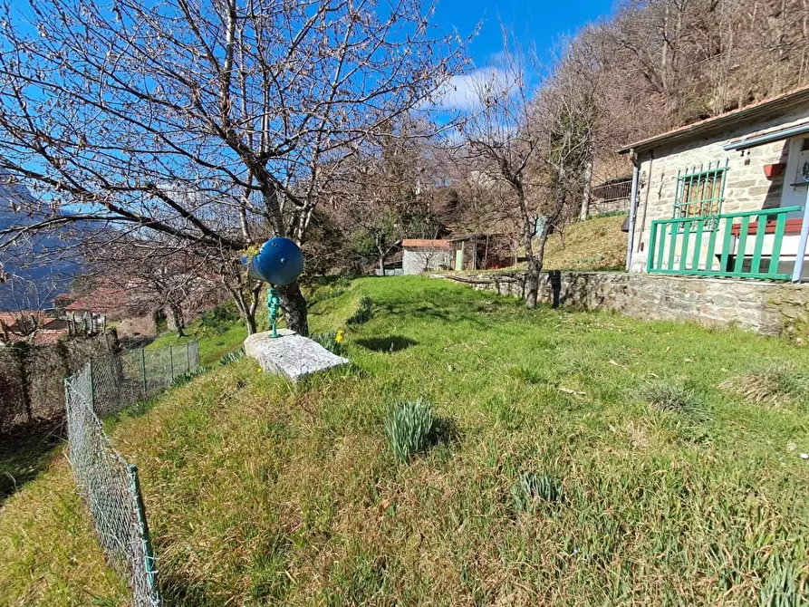 Immagine 36 di Terratetto in vendita  a Fivizzano