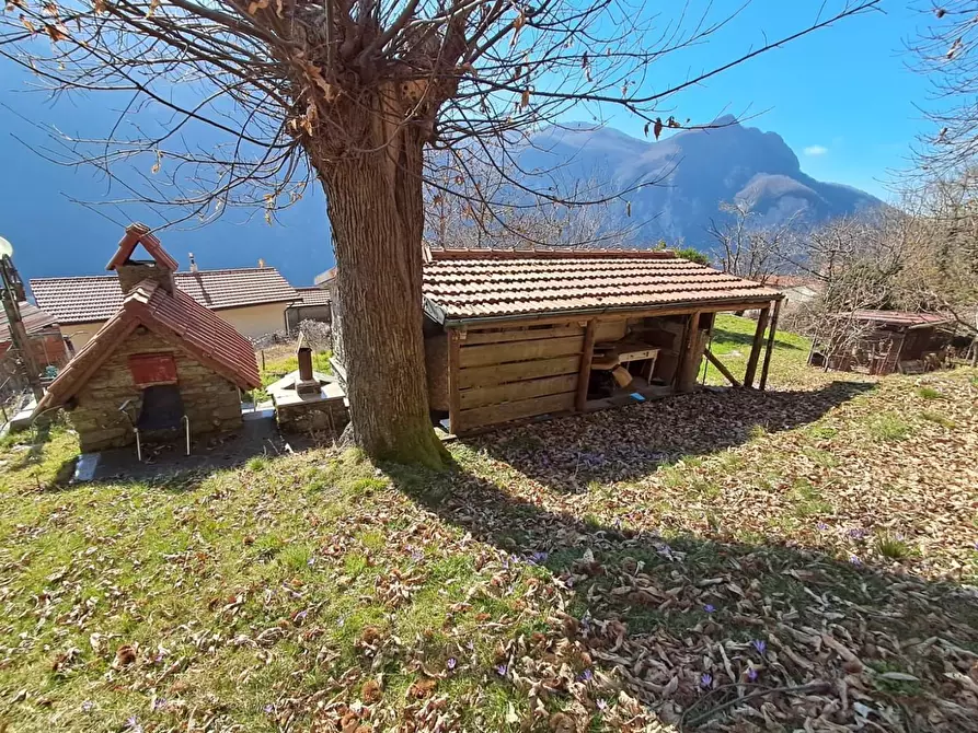 Immagine 61 di Terratetto in vendita  a Fivizzano