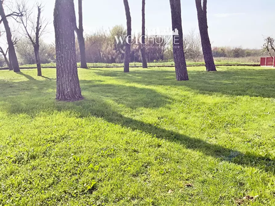 Immagine 16 di Appartamento in vendita  a Campi Bisenzio