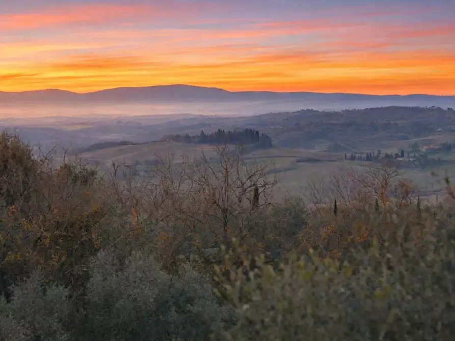 Immagine 6 di Casa colonica in vendita  a Monteriggioni
