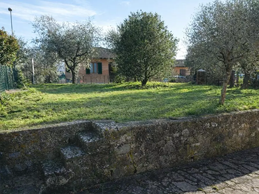 Immagine 4 di Casa colonica in vendita  a Monteriggioni