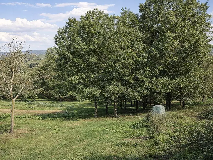 Immagine 7 di Casa colonica in vendita  a Monteriggioni