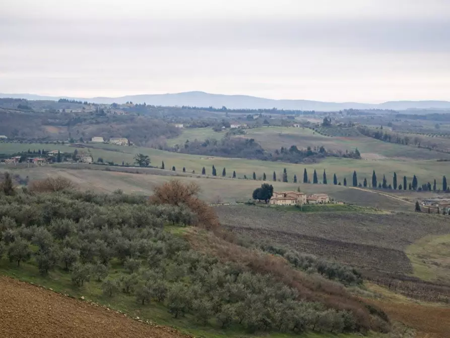 Immagine 5 di Casa colonica in vendita  a Monteriggioni